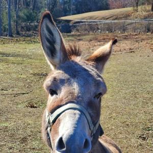 Meet your Posher, Eddie